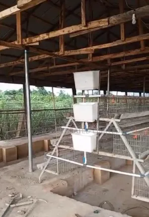 Battery Cage For Layers And Broilers