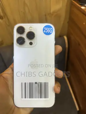 Apple iPhone 13 Pro 256 GB Silver