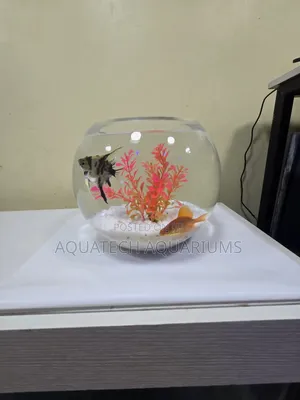 Fish Bowl Mini