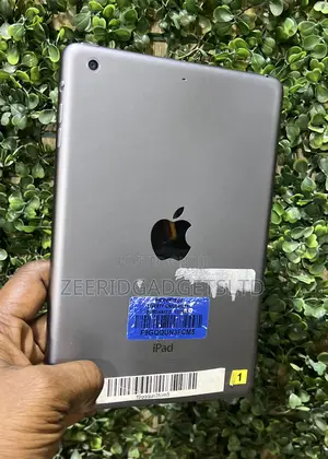 Apple iPad mini 2 16 GB Gray