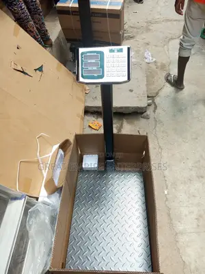 300kg Digital Weighing Scale With Double Light Green and Red