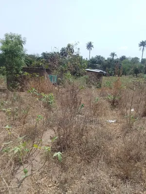 39 Plots of Land for Sale in Iseyin