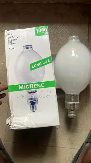 1000watts E40 Micrene Bulb