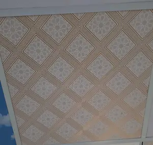 Suspended Ceiling