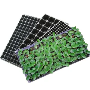 Nursery Seedling Tray