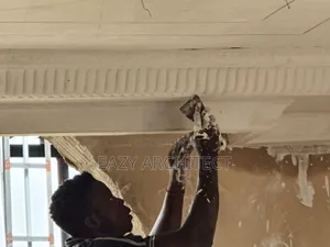Professional Pop Ceiling and Wall Screeding Installation