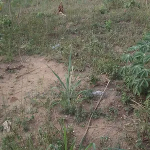 Land for Immediate Sale at Ajah