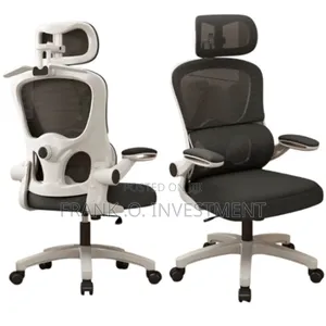 Egornomic Offic Chair With Lumbar Support and Flip Armrest