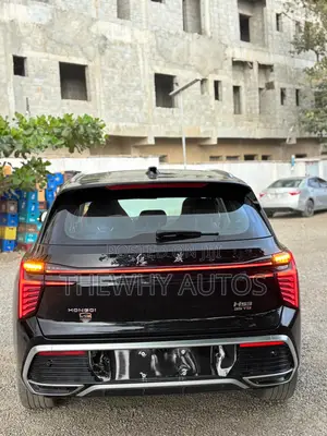New Car 2025 Black
