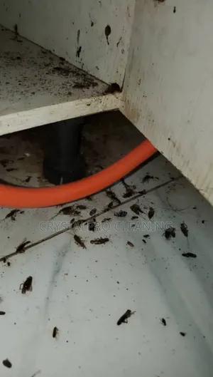 Top Best Fumigation and Pest Control