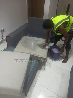 Couch Cleaning Service