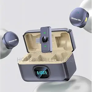 Rechargeable Wireless Dual Vocal