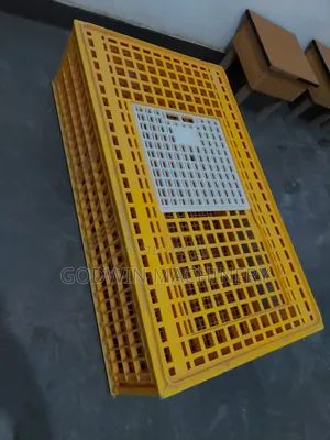 Basket Carrier for Birds