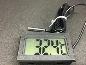Digital Thermometer