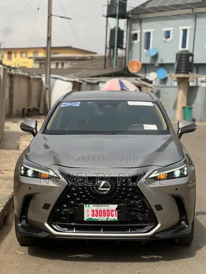 Lexus NX 250 Luxury 2023 Brown