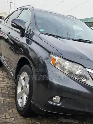 Lexus RX 350 2010 Gray