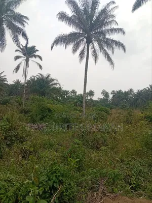 Industrial Land