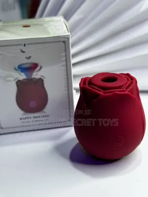 Rose Toy Vibrator