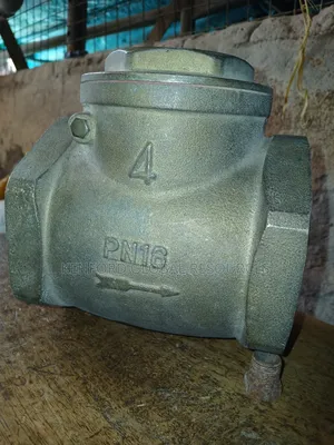 Iron Non Return Valve