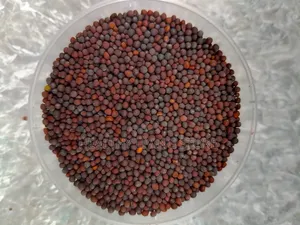 Mustard Seed (100g)