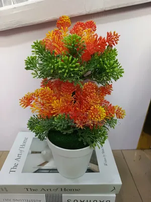 Cozy Flower