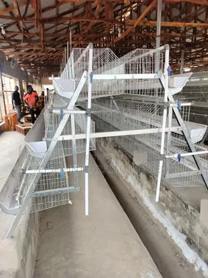Battery Cage With Accessories