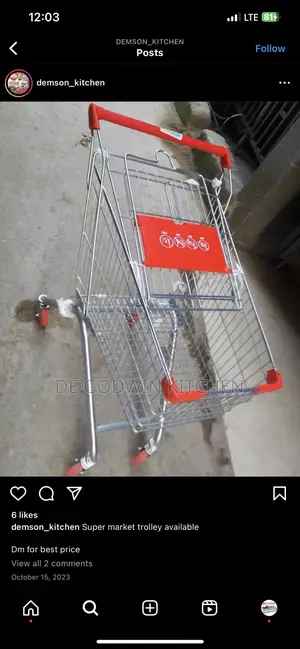 Supermarket Shopping Cart