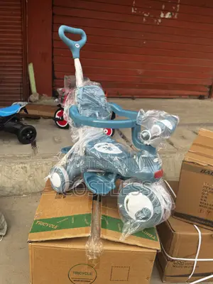 3-in-1 Push Stroller With Removable Sunshade Canopy.