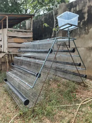 Deliver Nation Wide Cages