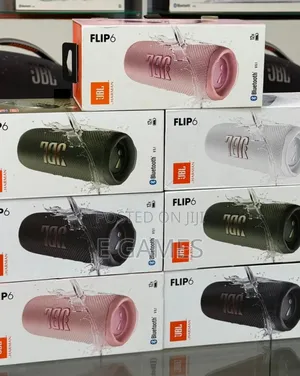 JBL Flip 6
