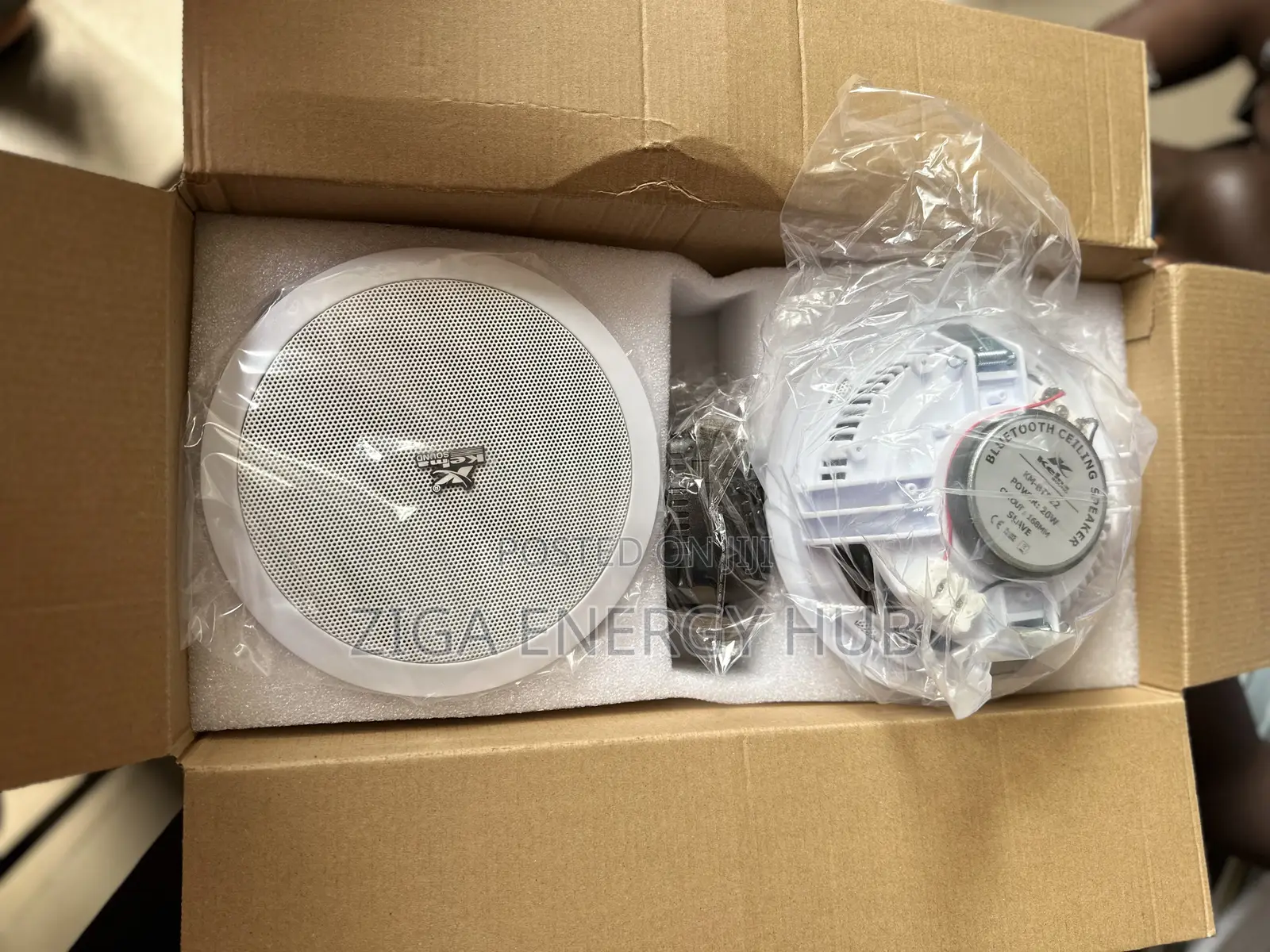 Double Bluetooth Ceiling Speaker