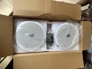 Double Bluetooth Ceiling Speaker