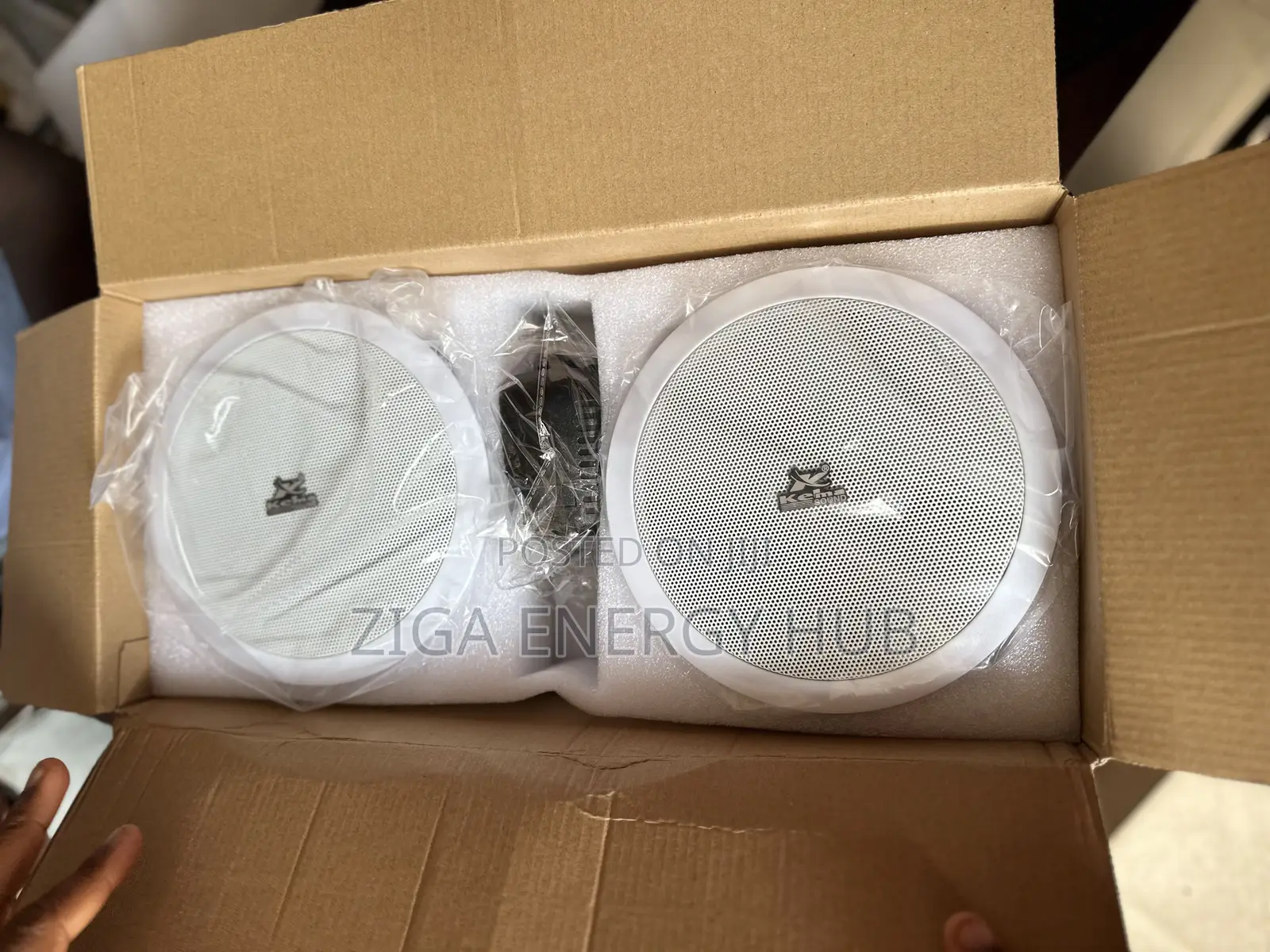 Double Bluetooth Ceiling Speaker