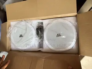 Double Bluetooth Ceiling Speaker