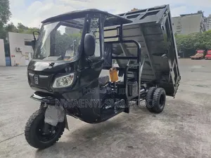 Tipper Cargo Tri Cycle 350cc Engine