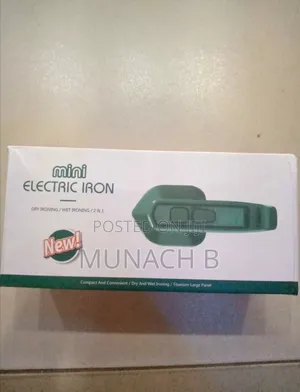 Potable Steam Iron
