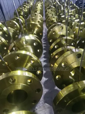 Wn Flange 3x300