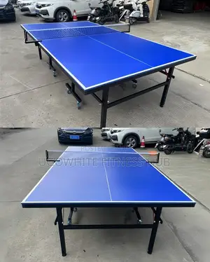Indoor/Outdoor Table Tennis Table