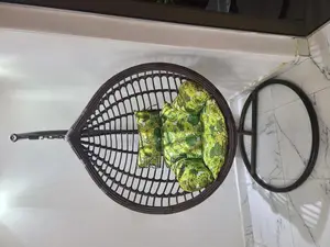 Swing Chair (Foreign)