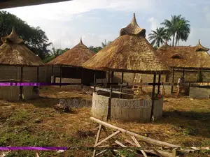 Thatch House