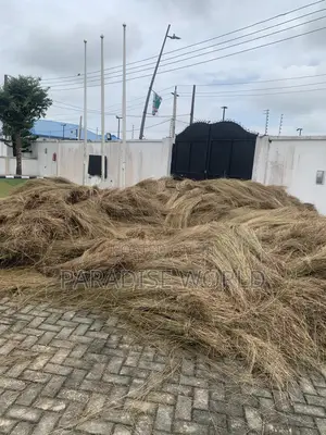 Thatch House