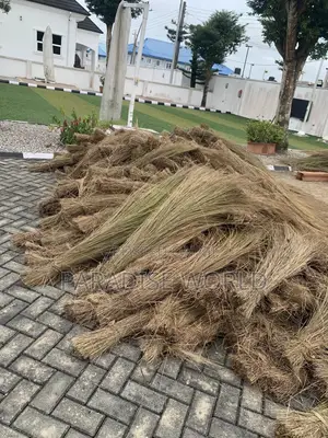 Thatch House