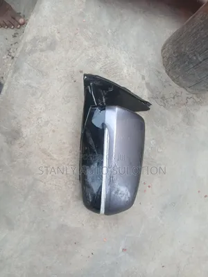 Side Mirror