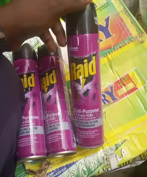 Raid " Anti Insect Spray". (Cockroach, Ant, Spider, Mosquito, Bee 