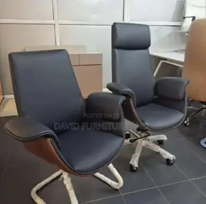 Beautiful Executive Office Chair (Swivel Only)
