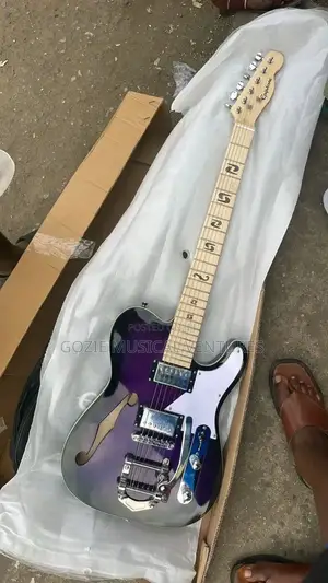 Professional Epiphone Electric Guitar