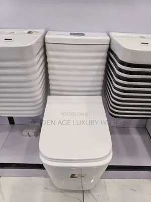 Rimed Body Plain White Executive Wc Set With Wash Hand Basin