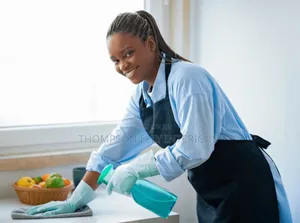Residential/Commercial Cleaning Expert