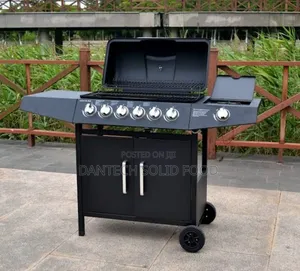 6burner Gas BBQ Grill