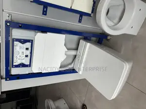 Geberit Wall-Mounted Toilet System With a Concealed Cistern